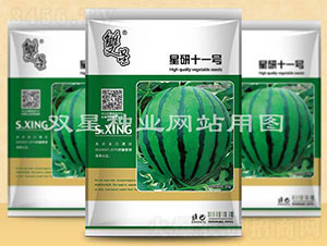 ����ʮһ̖(h��o)-���ϷN��-�p�ǷN�I(y��)