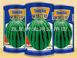 ������̖(h��o)-���ϷN��-�p�ǷN�I(y��)