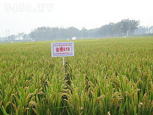 ��818-ˮ���N��-�Ǻ���(r��n)�r(n��ng)