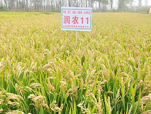 ��(r��n)�r(n��ng)11-ˮ���N��-�Ǻ���(r��n)�r(n��ng)