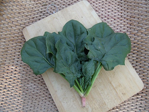 �ľG-���˷N��-�A���N��