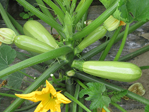 ����-�����J�N��-�A���N��