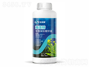 ���ﱣ�L���AҺ-���徫-ʩ����