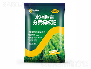 �ӹ���ˮ��������Y��辷�-ʩ����