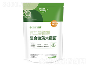 ΢����������ͺϹ���ľù��-���