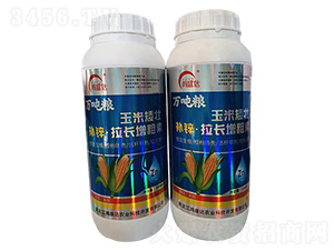 �a�\���L���L��-��ʢ�_