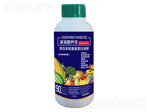 �εΠI�B(y��ng)Һ-��ʢ�_