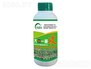 ��һ����-��ʢ�_