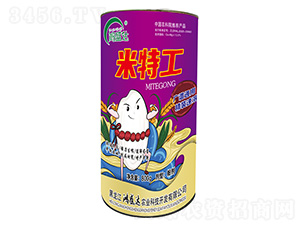 ���ع�-��ʢ�_(d��)