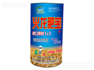 �����ʌ�-��ʢ�_