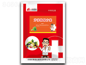 �۲�ֲ������-������