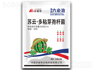 ����������-������