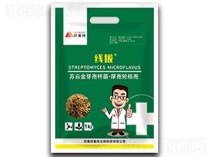 ���Σ��K�ƽ�ѿ�ߗU��������݆֦�ߣ�-������