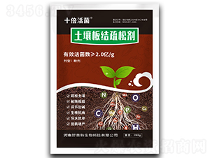 ������Y���Ʉ�-ʮ�����-������