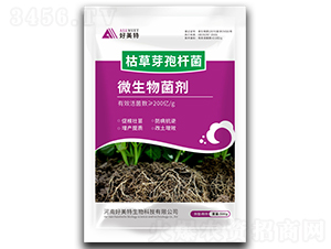 500g�ݲ�ѿ�ߗU��-������