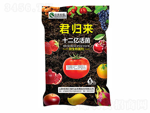 ʮ���|���-���w��-ס�̺긣