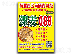 ����088-С���N��-���r�A�N�I(y��)