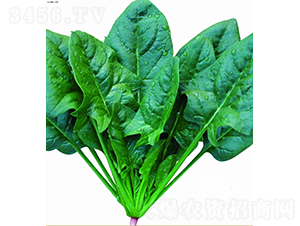 �����A+����-���˷N��-�V��