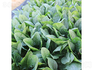 �r(sh��)��-���˷N��-�V��