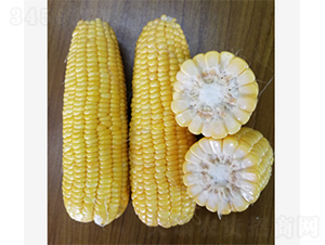 �V����35����-���׷N��-�V��