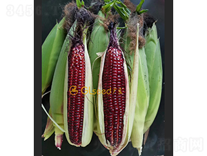 �V����t����-���׷N��-�V��