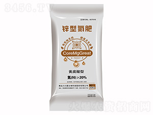 �S�����\�͵���-����������