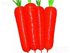 ������3̖(h��o)�s���ߴ���}��-���}���N��-�V��