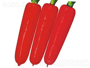 F1����1̖(h��o)���}��-���}���N��-�V��