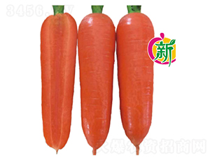 �V��103F1���}��-���}���N��-�V��