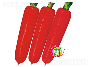 F1�ʺ���}��-���}���N��-�V��