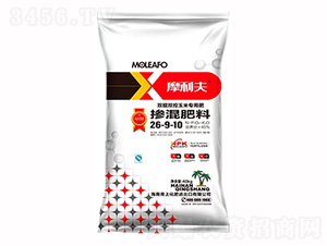 �pĤ�p�����׌��Ó������26-9-10-Ħ����-���ϻ���