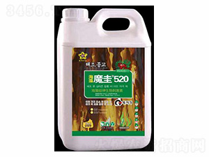 ����ħ��520-ס�̺긣