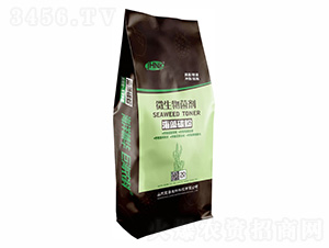 ΢�������������̼�ۣ�-�޺�����