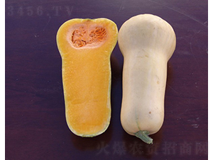 ������-�ϹϷN��-�A���N��