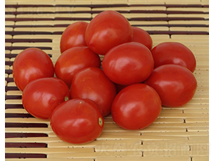 �A��004-�ӹ����ѷN��-�A���N��