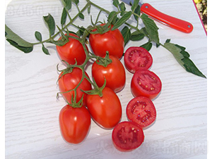 D1540-�ӹ����ѷN��-�A���N��