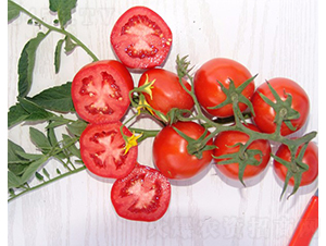 �A��1703-�ӹ����ѷN��-�A���N��