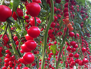 ����-���ҷ��ѷN��-�A���N��