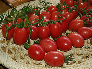 ����-���ҷ��ѷN��-�A���N��