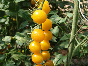 ���-���ҷ��ѷN��-�A���N��