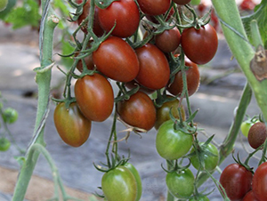 ��ˮ��-���ҷ��ѷN��-�A���N��