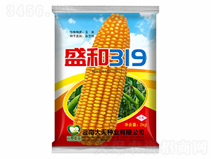 ���׷N��-ʢ��319-����N�I(y��)