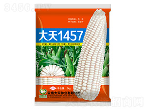 ���׷N��-����1457-����N�I(y��)