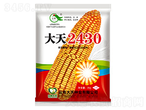 ���׷N��-����2430-����N�I(y��)