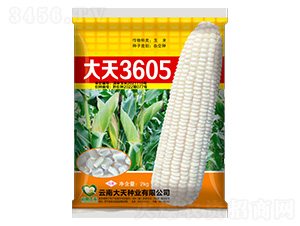 ���׷N��-����3605-����N�I(y��)