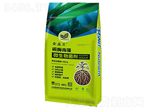 ̼ø����΢�������-�����l(w��i)-�ΰ���