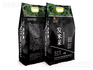 �l(f��)���R��(f��)��΢�������-�G֮��