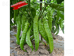 �K���G�焦���Ӵ��ͣ�-�����N��-�K���N�I(y��)