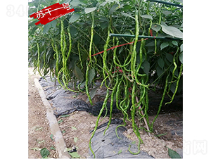 �K��һ̖-�����N��-�K���N�I(y��)