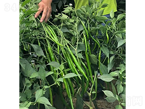 �K��ʮ��̖-�����N��-�K���N�I(y��)